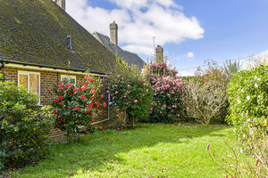 Garden- click for photo gallery